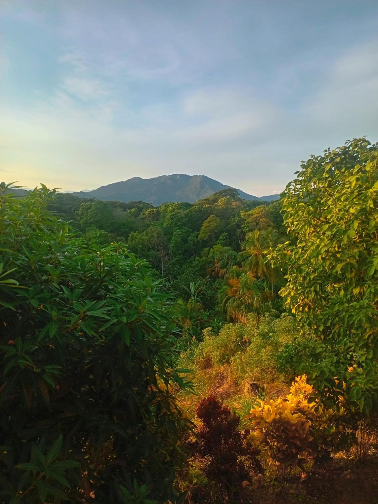 Casa Tolosa Tayrona, Los Cocos La Poza Eksteriør bilde